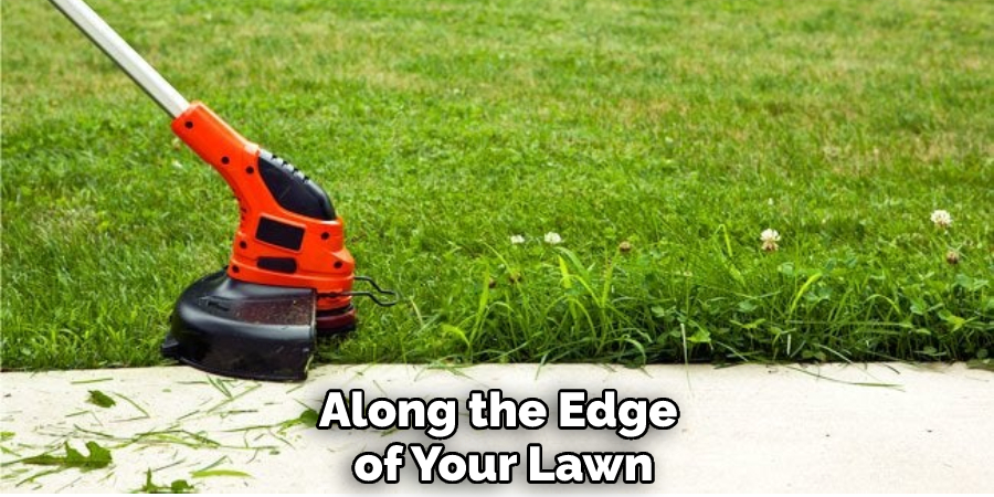 Along the Edge of Your Lawn