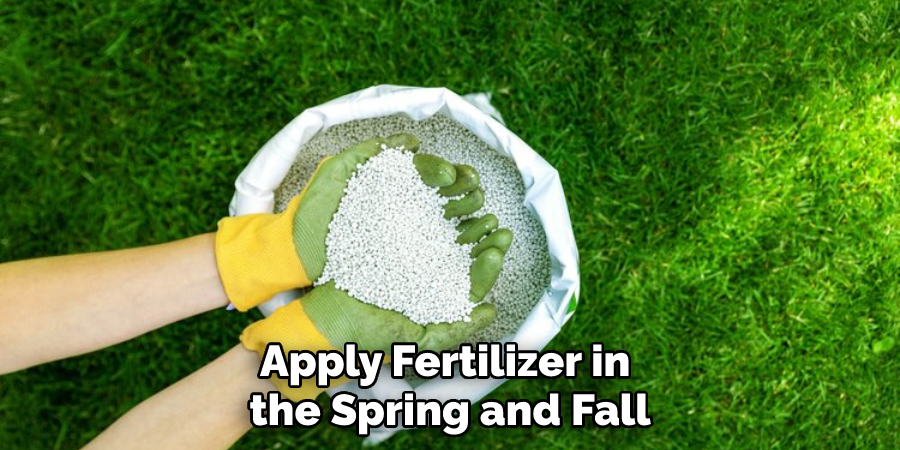 Apply Fertilizer in the Spring and Fall