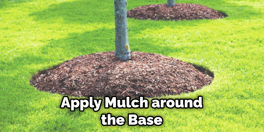 Apply Mulch around the Base