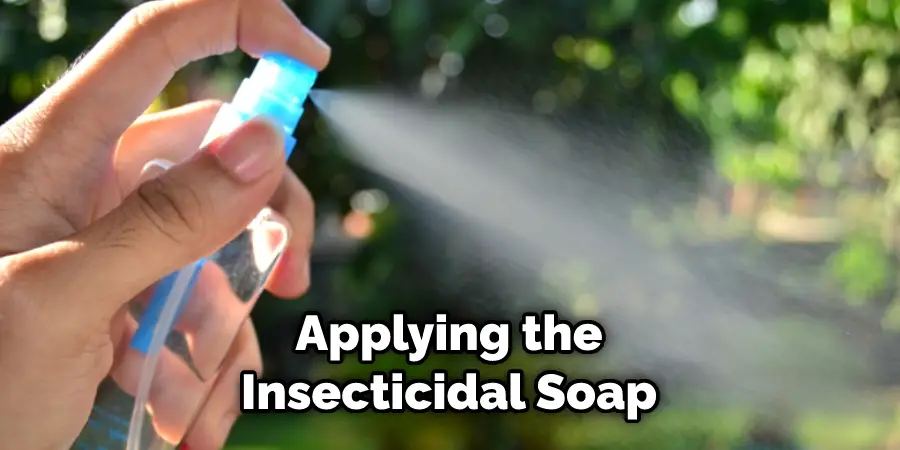 Applying the Insecticidal Soap