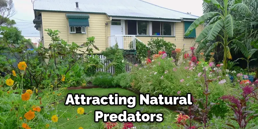 Attracting Natural Predators