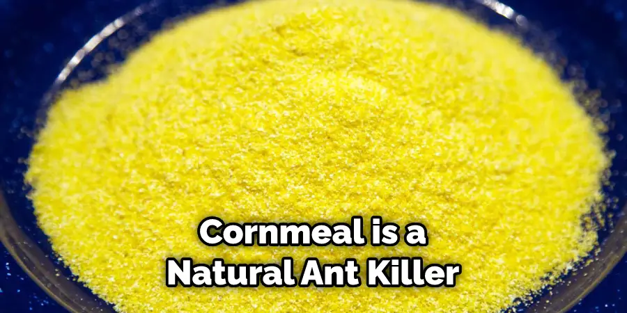 Cornmeal is a Natural Ant Killer