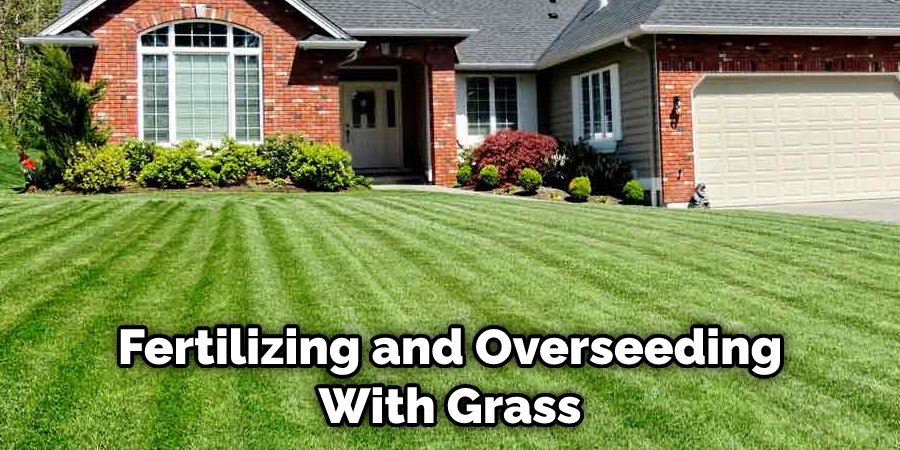 Fertilizing and Overseeding With Grass