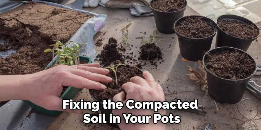 Fixing the Compacted Soil in Your Pots