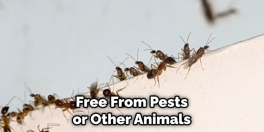 Free From Pests or Other Animals