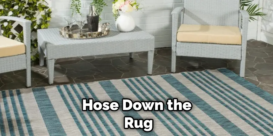 Hose Down the Rug