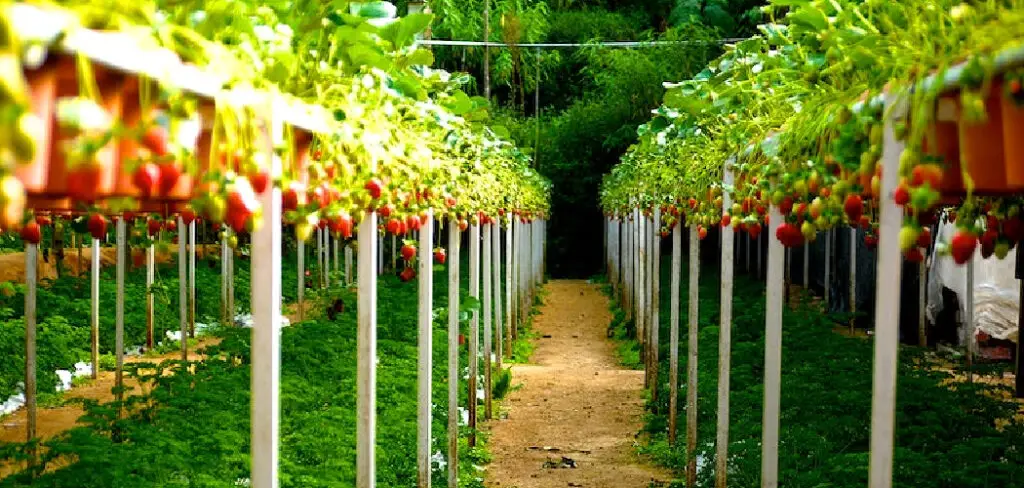 How to Make a Garden Arch With PVC Pipe