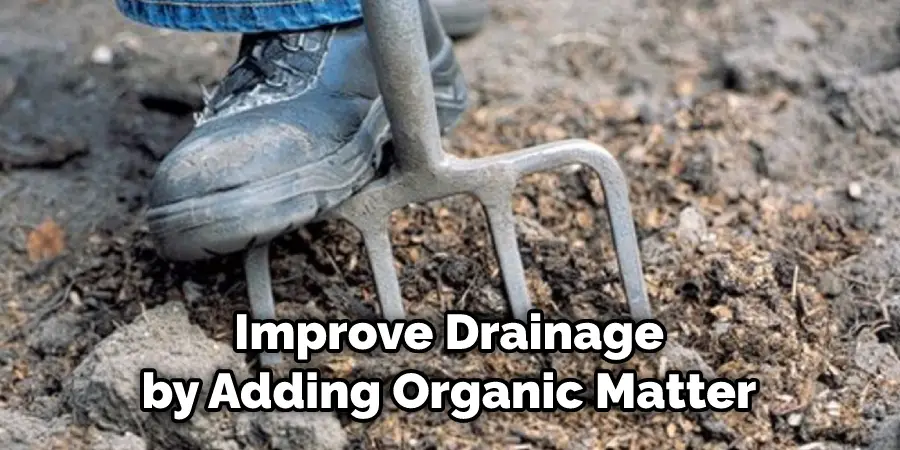 Improve Drainage by Adding Organic Matter