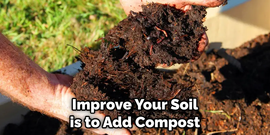 Improve Your Soil is to Add Compost