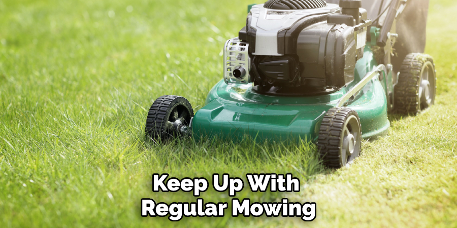 Keep Up With Regular Mowing