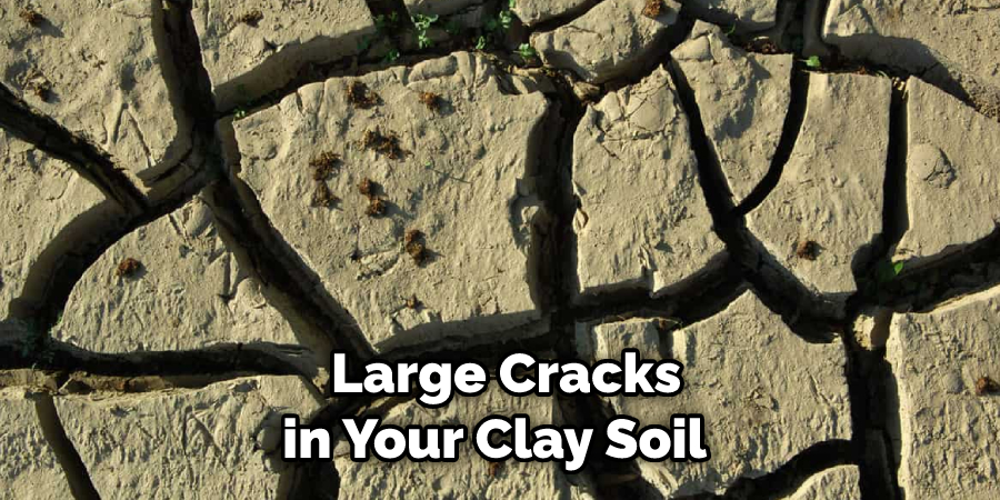  Large Cracks in Your Clay Soil 