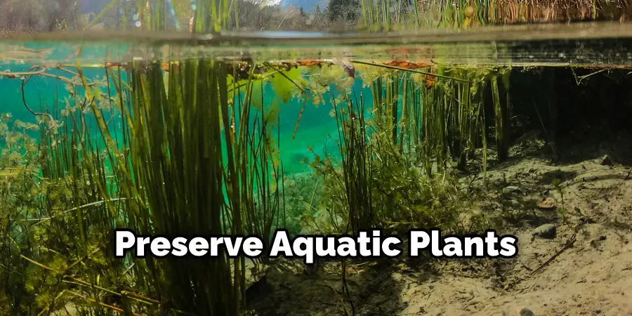 Preserve Aquatic Plants