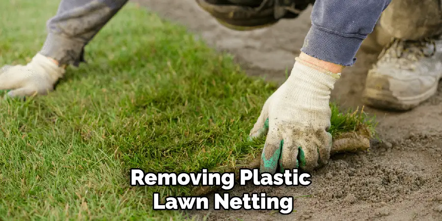 Removing Plastic Lawn Netting