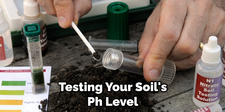 Testing Your Soil's Ph Level