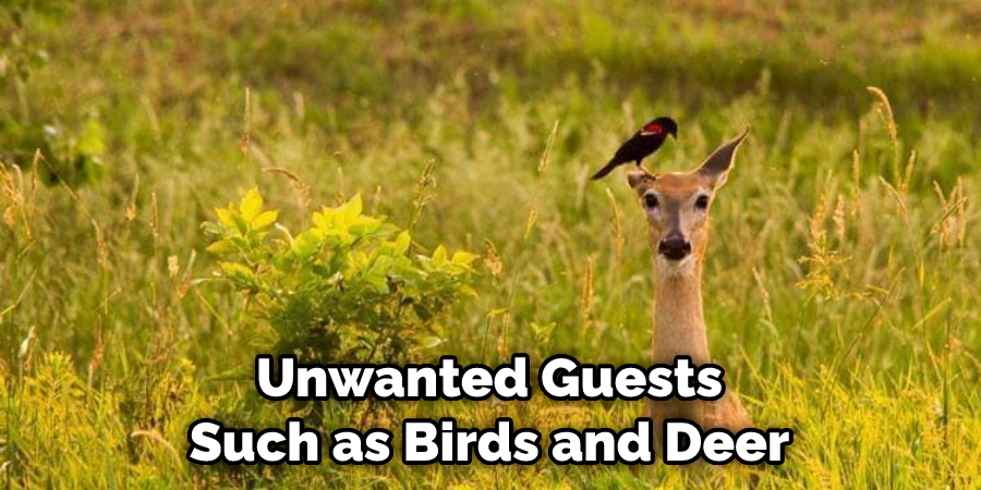 Unwanted Guests Such as Birds and Deer