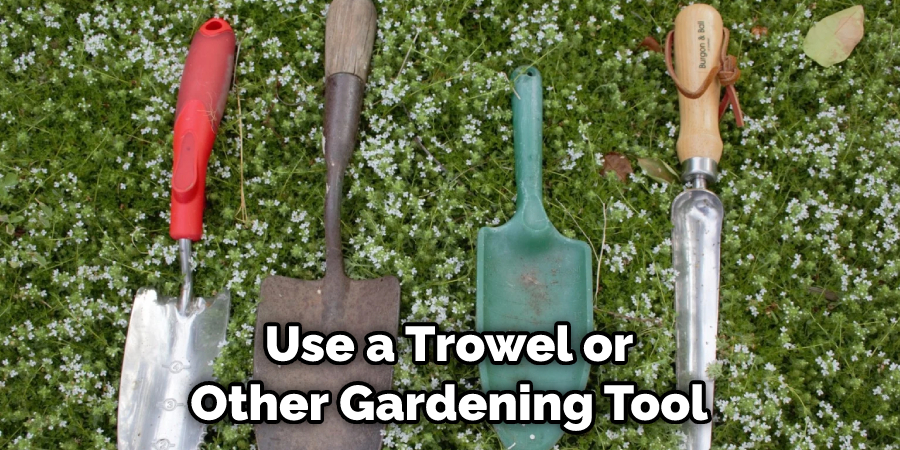 Use a Trowel or Other Gardening Tool