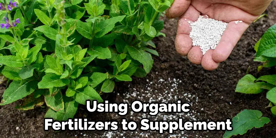 Using Organic Fertilizers to Supplement