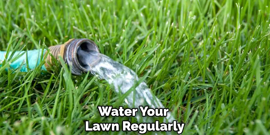 Water Your Lawn Regularly