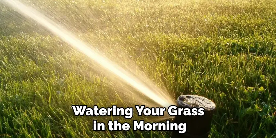Watering Your Grass in the Morning