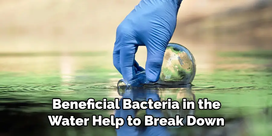 Beneficial Bacteria in the Water Help to Break Down