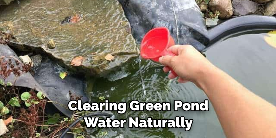 Clearing Green Pond Water Naturally