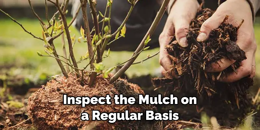 Inspect the Mulch on a Regular Basis