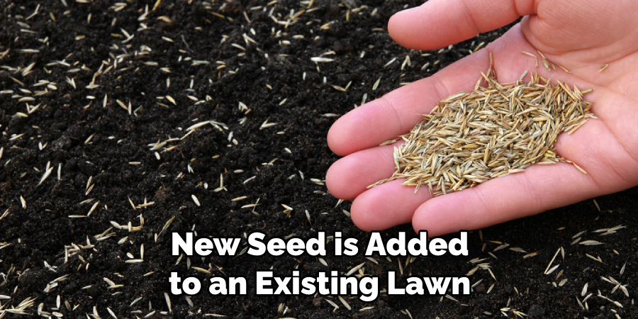New Seed is Added to an Existing Lawn