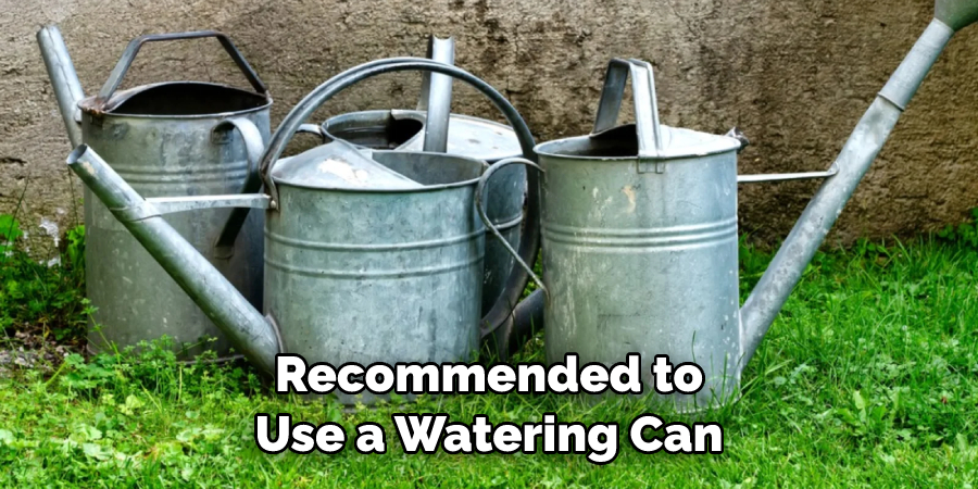 Recommended to Use a Watering Can