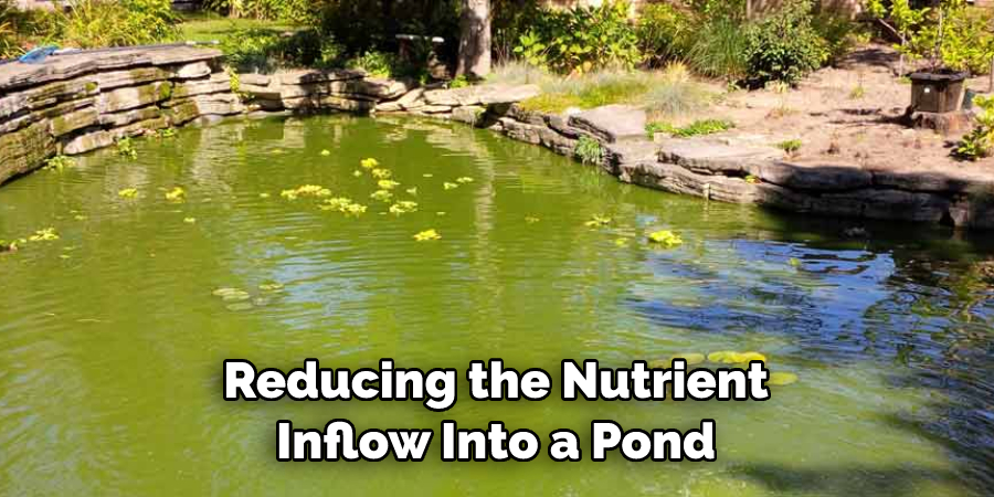 Reducing the Nutrient Inflow Into a Pond
