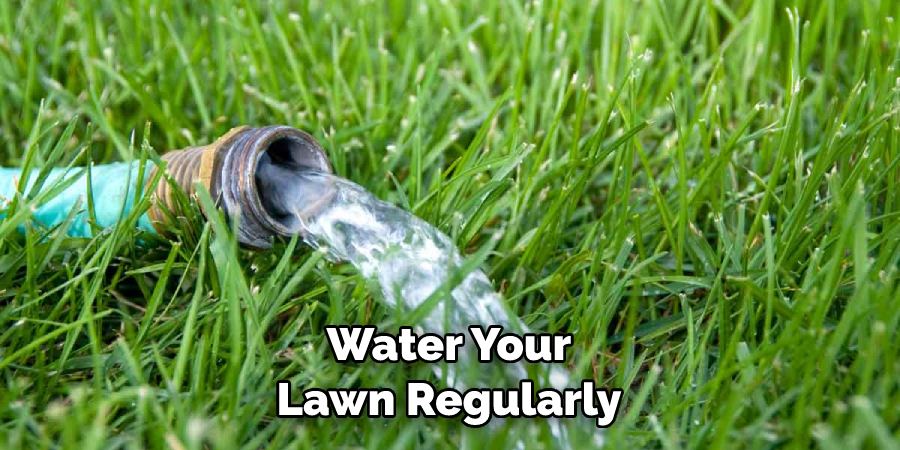 Water Your Lawn Regularly