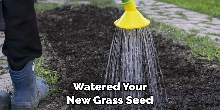 Watered Your New Grass Seed