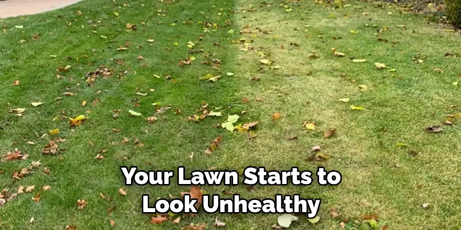 Your Lawn Starts to Look Unhealthy
