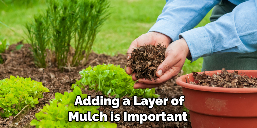  Adding a Layer of Mulch is Important