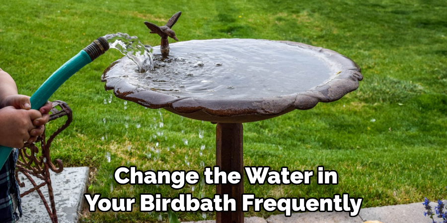 Change the water in your birdbath frequently