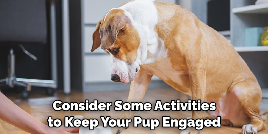 Consider Some Activities to Keep Your Pup Engaged