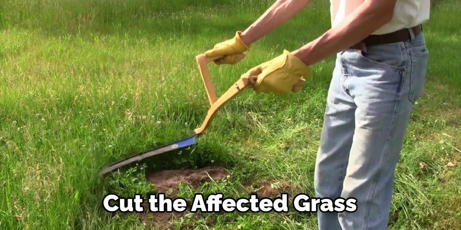 Cut the Affected Grass 