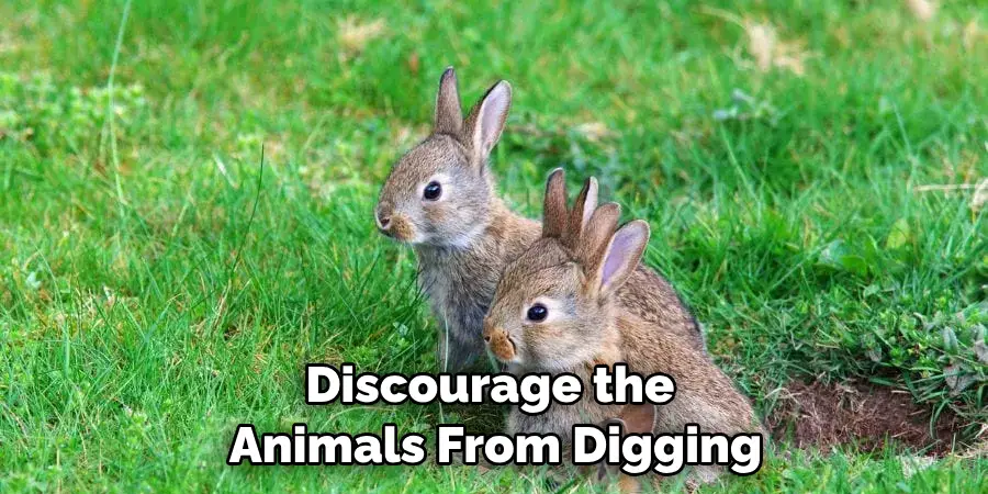 Discourage the Animals From Digging