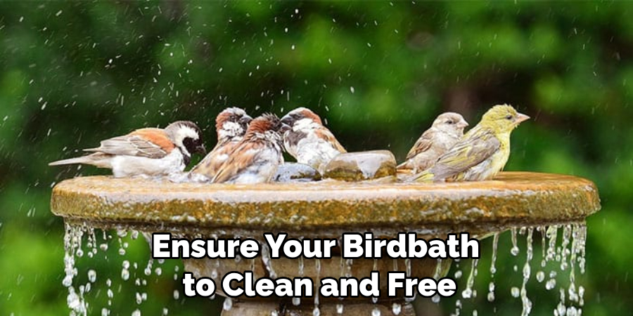 Ensure Your Birdbath 
 to Clean and Free 