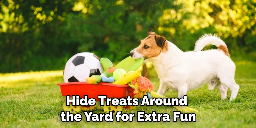 Hide Treats Around the Yard for Extra Fun