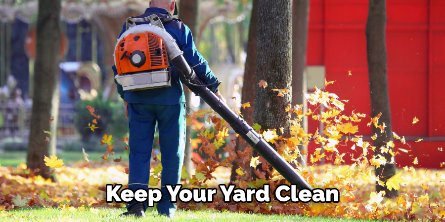 Keep Your Yard Clean