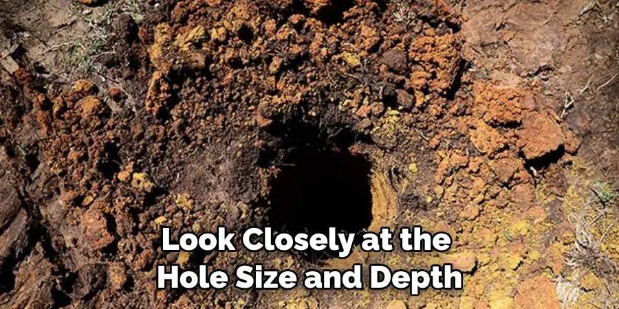 Look Closely at the 
Hole Size and Depth