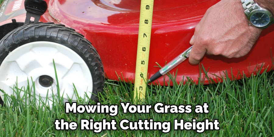 Mowing Your Grass at the Right Cutting Height