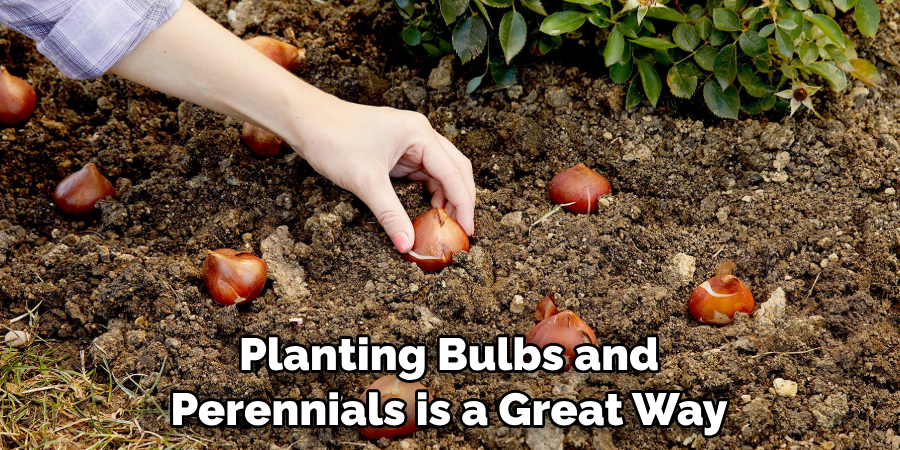 Planting Bulbs and Perennials is a Great Way