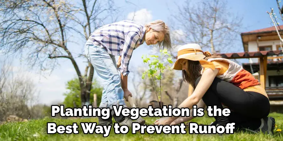Planting Vegetation is the Best Way to Prevent Runoff