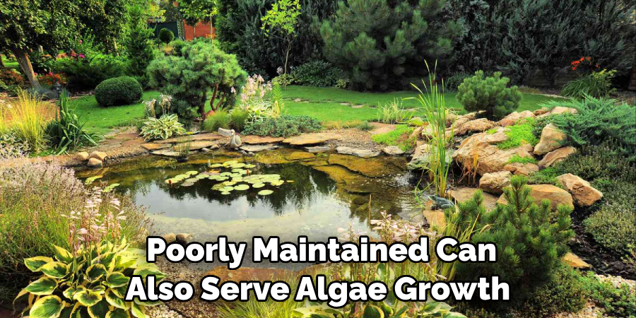  Poorly Maintained Can 
Also Serve Algae Growth