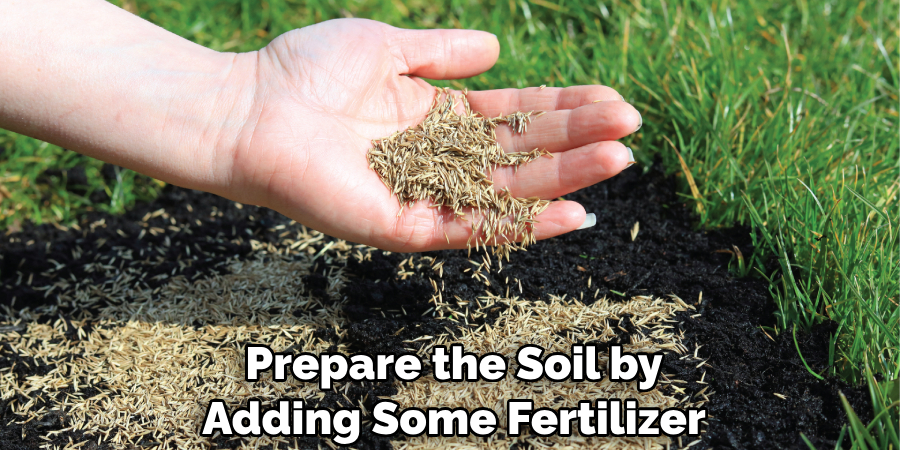 Prepare the Soil by Adding Some Fertilizer