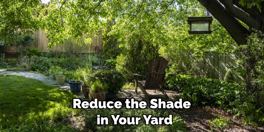 Reduce the Shade
  in Your Yard