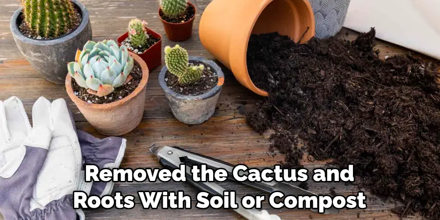 Removed the Cactus and
Roots With Soil or Compost