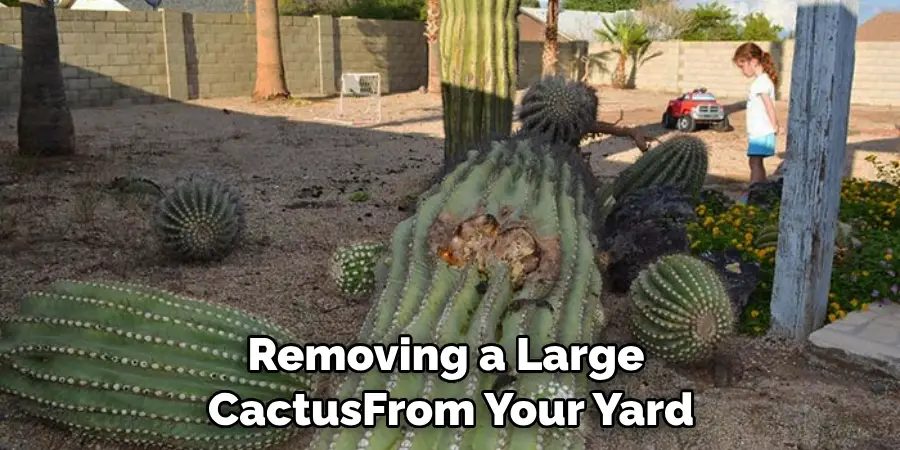 Removing a Large 
CactusFrom Your Yard