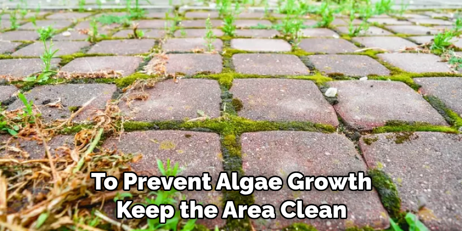 To Prevent Algae Growth
  Keep the Area Clean